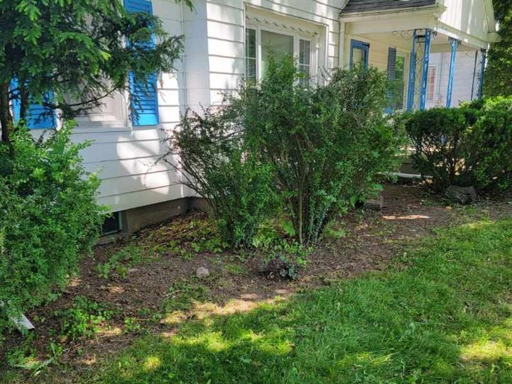 Green shrubs and a mown lawn along the side of a white house with blue shutters.