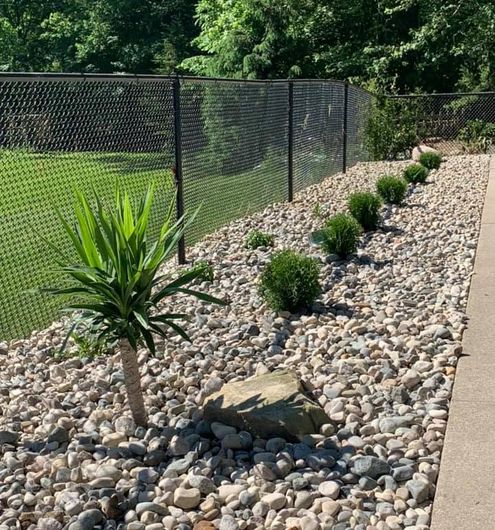 A river-rock garden bed with small boxwoods and a yucca plant along a black chain-link fence.